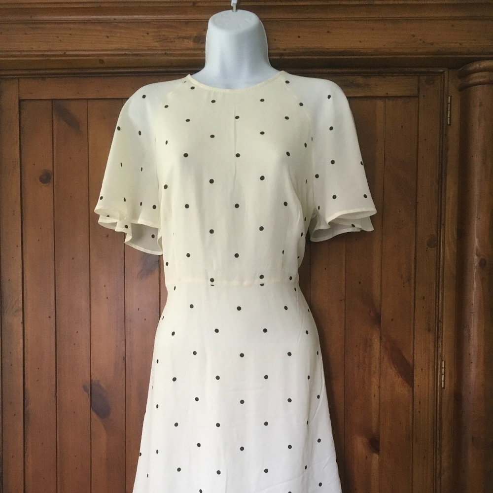 H&M Polkadot dress
